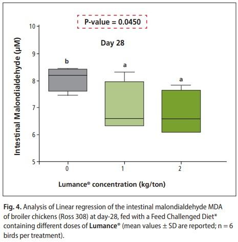 Growth promotion and alleviation of chronic intestinal inflammation by Lumance® in broilers under a dietary challenge - Image 6