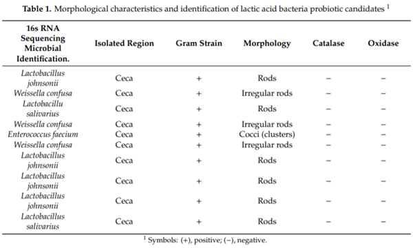Isolation and Identification of Lactic Acid Bacteria Probiotic Culture Candidates for the Treatment of Salmonella enterica Serovar Enteritidis in Neonatal Turkey Poults - Image 1