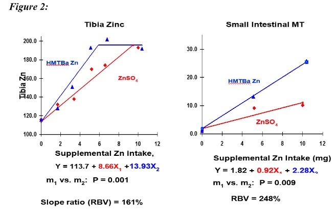 Not All Chelated Minerals are same - Image 6
