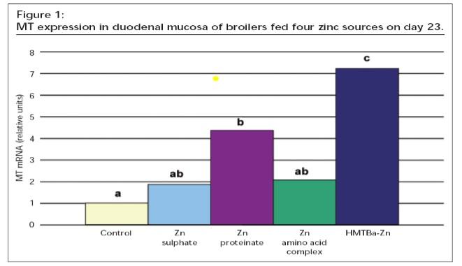 Not All Chelated Minerals are same - Image 5