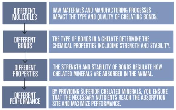 Not All Chelated Minerals are same - Image 2