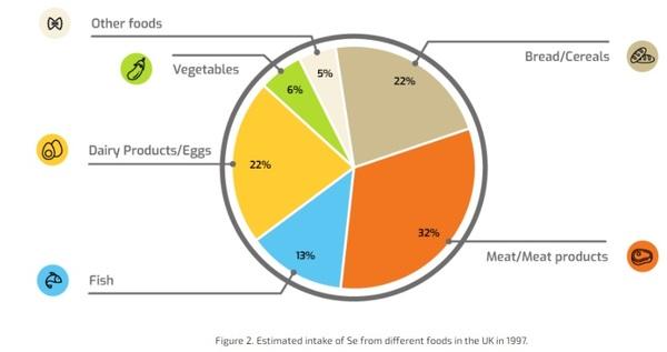 Selenium And Immunity: Food For Thought - Image 2