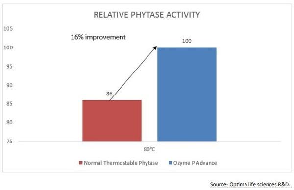 Revamping The Phytase Skeletal - Image 7