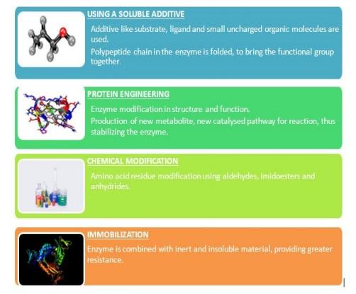 Revamping The Phytase Skeletal - Image 5