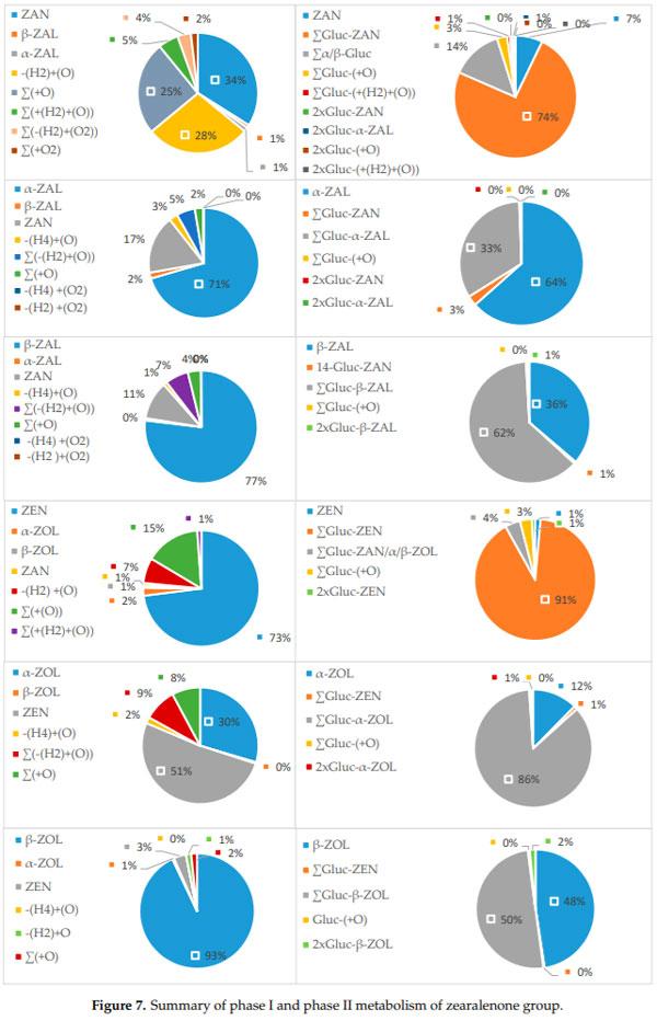 Characterization of Phase I and Glucuronide Phase II Metabolites of 17 Mycotoxins Using Liquid Chromatography—High-Resolution Mass Spectrometry - Image 6
