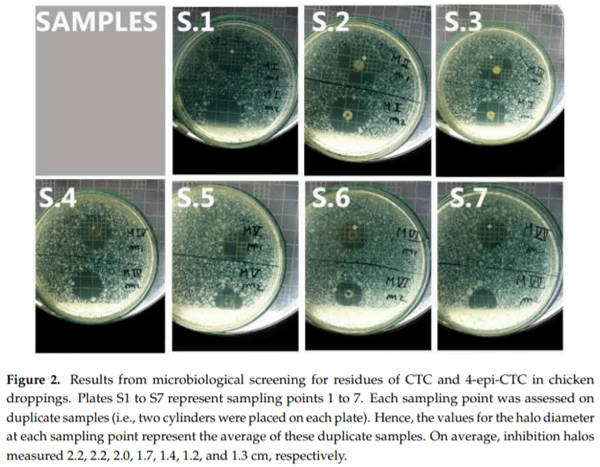 Determination of Chlortetracycline Residues, Antimicrobial Activity and Presence of Resistance Genes in Droppings of Experimentally Treated Broiler Chickens - Image 2