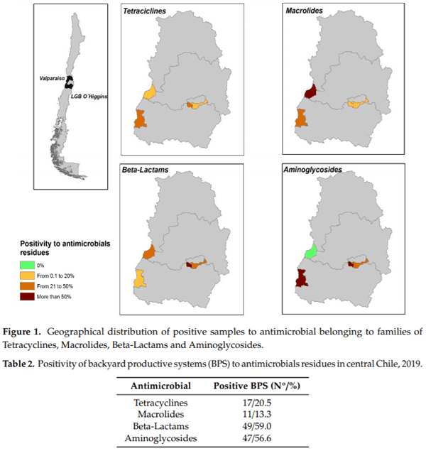 Assessing Antibiotic Residues in Poultry Eggs from Backyard Production Systems in Chile, First Approach to a Non-Addressed Issue in Farm Animals - Image 2