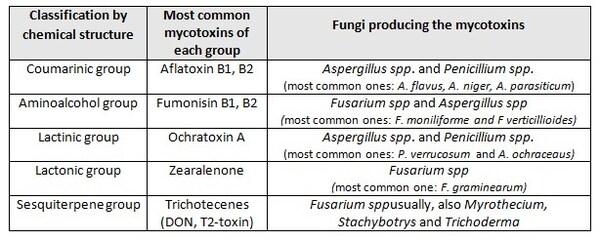 Mycotoxins: prevalence on 2020 in South East Asia, signs and lesions, prevention - Image 1