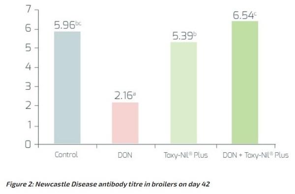 Protecting animals from ingested mycotoxins - Image 2