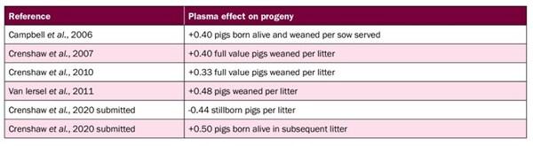 Plasma Supports Pig Health and Herd Productivity - Image 3