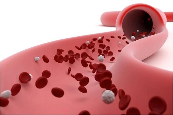Plasma Supports Pig Health and Herd Productivity - Image 1