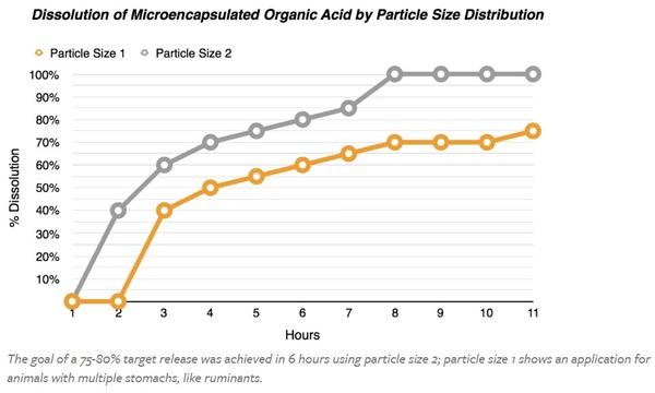How to Reduce Antibiotics in Monogastric Animal Feed - Image 1
