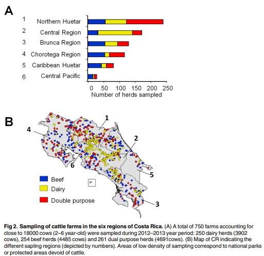 Epidemiology of bovine brucellosis in Costa Rica: Lessons learned from failures in the control of the disease - Image 1