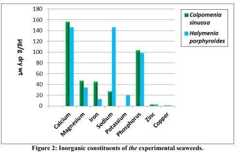 Biochemical Investigation of Marine Seaweeds Colpomenia Sinuosa and Halymenia Poryphyroides Collected along The South East Coast of Tamilnadu, India - Image 4