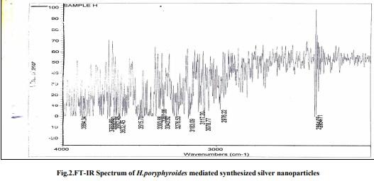 Biogenic silver nanoparticles by Halymenia poryphyroides and its in vitro anti-diabetic efficacy - Image 3