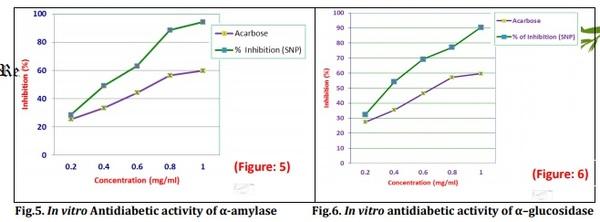 Biological synthesis of silver nanoparticles from marine alga Colpomenia sinuosa and its in vitro anti-diabetic activity - Image 5