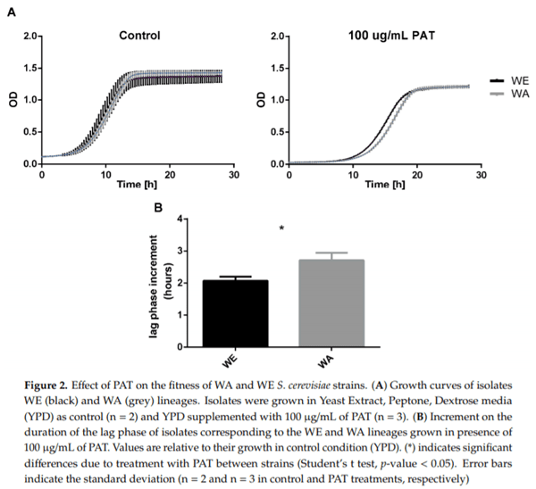 Distinct Transcriptional Changes in Response to Patulin Underlie Toxin Biosorption Differences in Saccharomyces cerevisiae - Image 2