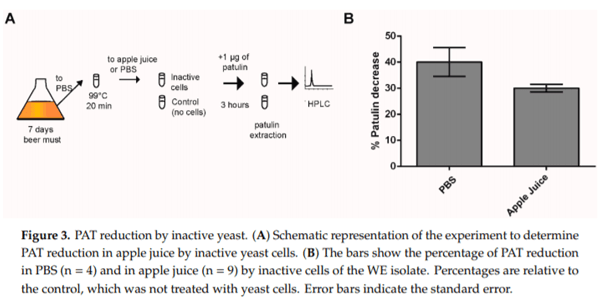 Distinct Transcriptional Changes in Response to Patulin Underlie Toxin Biosorption Differences in Saccharomyces cerevisiae - Image 3
