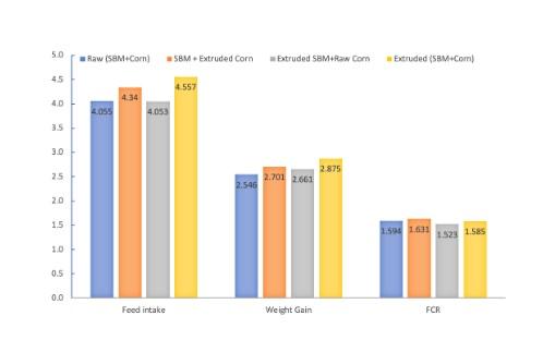 Dry extruded grains for modern broilers - Image 1