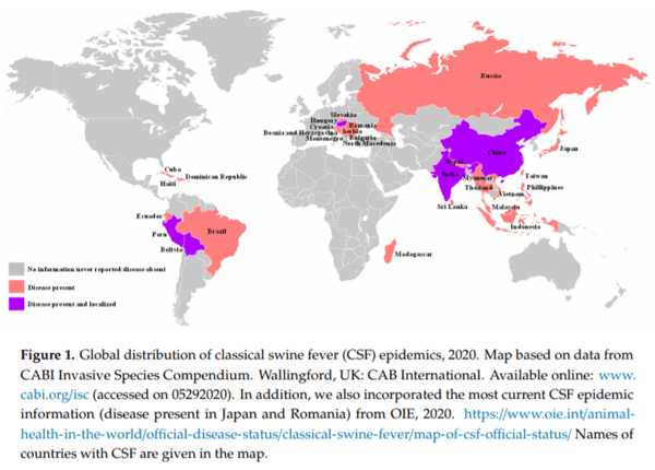 Recent Advances in the Diagnosis of Classical Swine Fever and Future Perspectives - Image 1