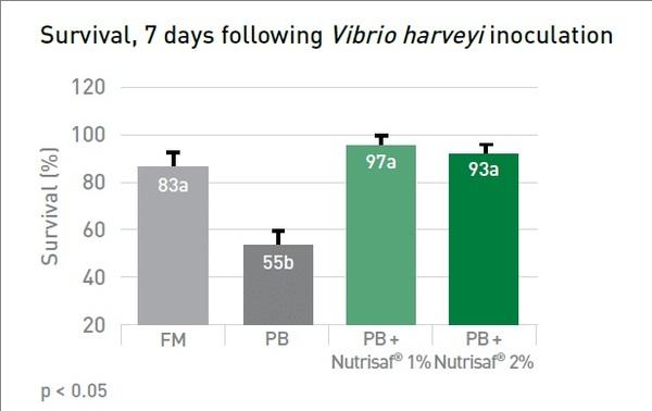 Functional yeast protein improves fish health in reduced fishmeal diets - Image 5