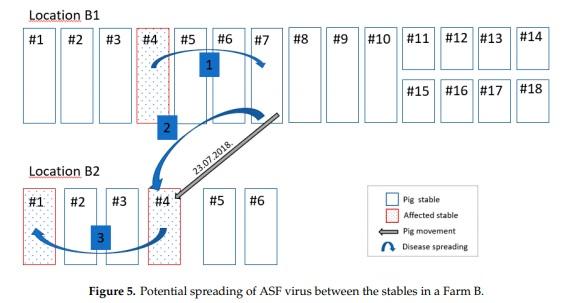 African Swine Fever in Two Large Commercial Pig Farms in LATVIA—Estimation of the High Risk Period and Virus Spread within the Farm - Image 8