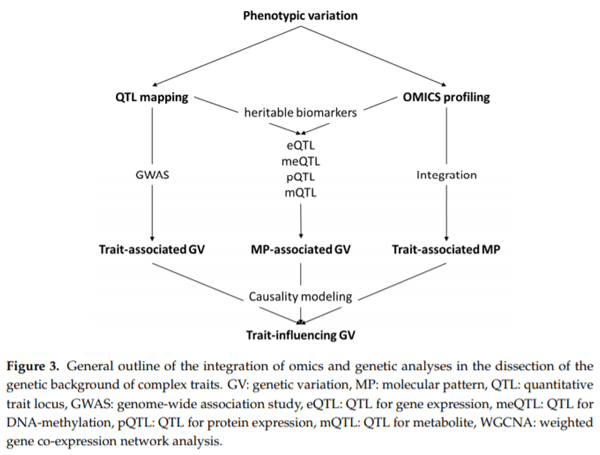 Omics Application in Animal Science—A Special Emphasis on Stress Response and Damaging Behaviour in Pigs - Image 7