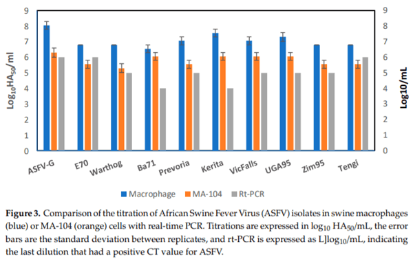 Identification of a Continuously Stable and Commercially Available Cell Line for the Identification of Infectious African Swine Fever Virus in Clinical Samples - Image 3