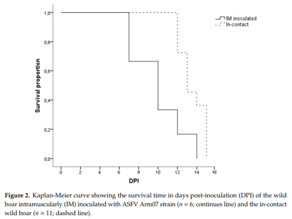 Clinical Course and Gross Pathological Findings in Wild Boar Infected with a Highly Virulent Strain of African Swine Fever Virus Genotype II - Image 2