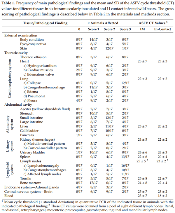 Clinical Course and Gross Pathological Findings in Wild Boar Infected with a Highly Virulent Strain of African Swine Fever Virus Genotype II - Image 6