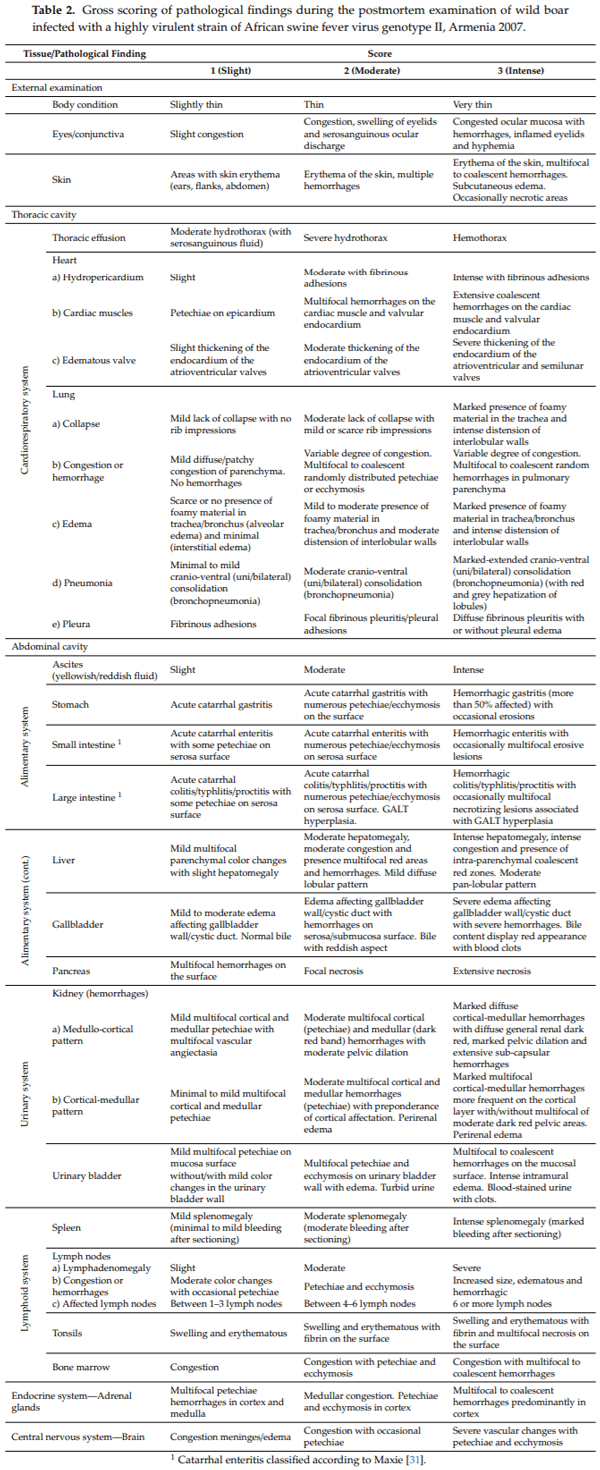 Clinical Course and Gross Pathological Findings in Wild Boar Infected with a Highly Virulent Strain of African Swine Fever Virus Genotype II - Image 7