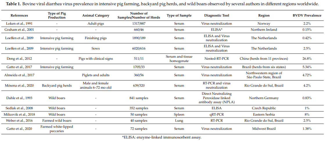 Bovine Viral Diarrhea Virus: Recent Findings about Its Occurrence in Pigs - Image 1