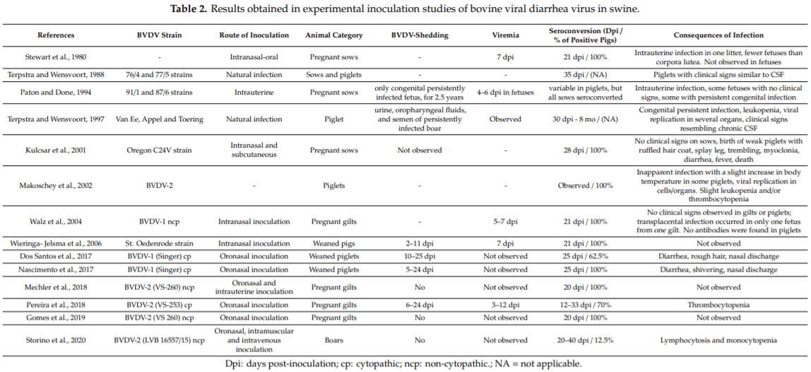 Bovine Viral Diarrhea Virus: Recent Findings about Its Occurrence in Pigs - Image 3
