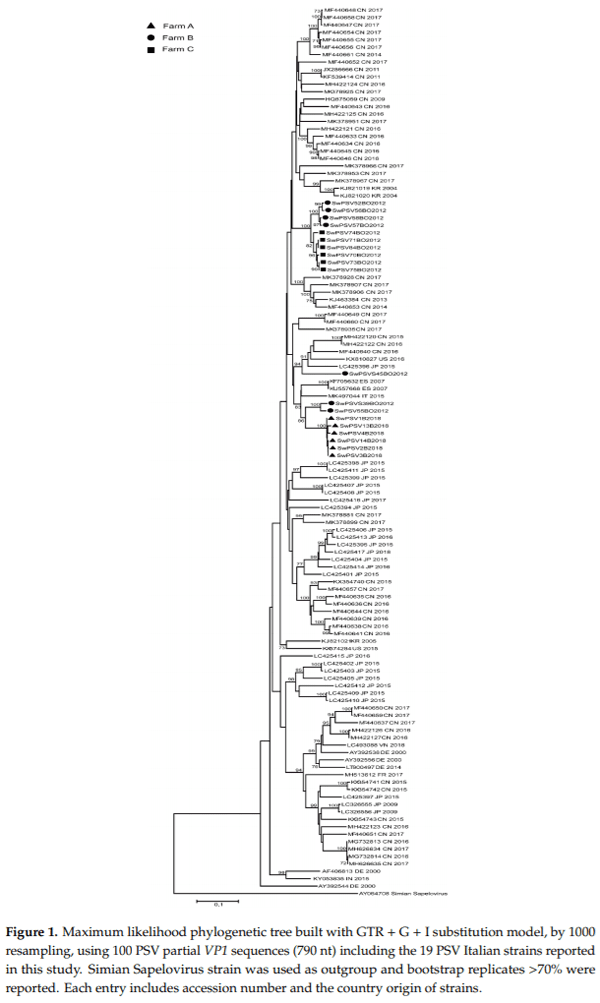 Detection and Characterization of Porcine Sapelovirus in Italian Pig Farms - Image 2