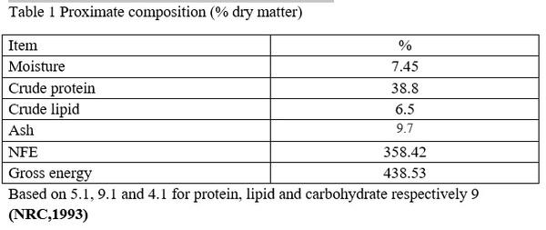 Effects of stocking densities on Nile tilapia fingerlings performance and feed utilization under biofloc system - Image 1