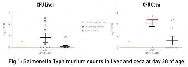 Prevent Salmonella from undermining food safety - Image 3