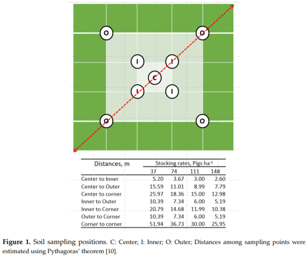 Effects of Growing-Finishing Pig Stocking Rates on Bermudagrass Ground Cover and Soil Properties - Image 2