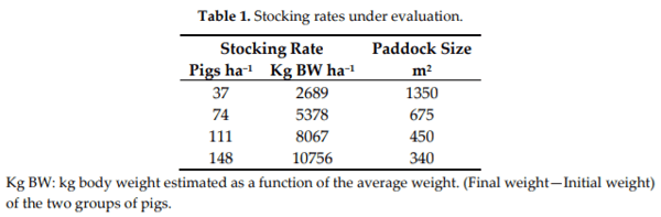 Effects of Growing-Finishing Pig Stocking Rates on Bermudagrass Ground Cover and Soil Properties - Image 1