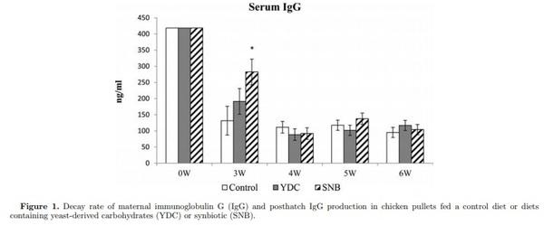 Maternal antibody decay and antibody-mediated immune responses in chicken pullets fed prebiotics and synbiotics - Image 1