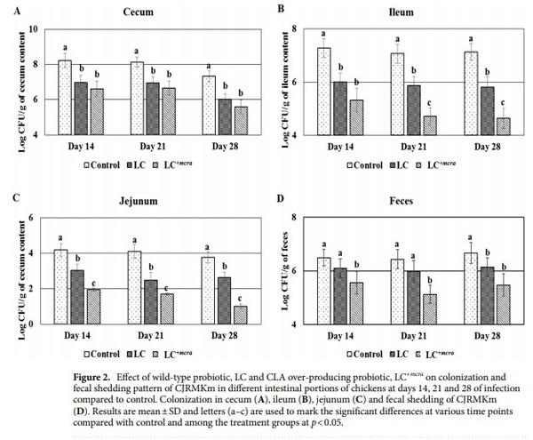 Competitive reduction of poultry-borne enteric bacterial pathogens in chicken gut with bioactive Lactobacillus casei - Image 2