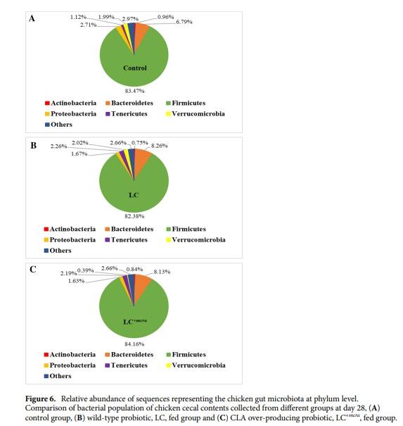 Competitive reduction of poultry-borne enteric bacterial pathogens in chicken gut with bioactive Lactobacillus casei - Image 6