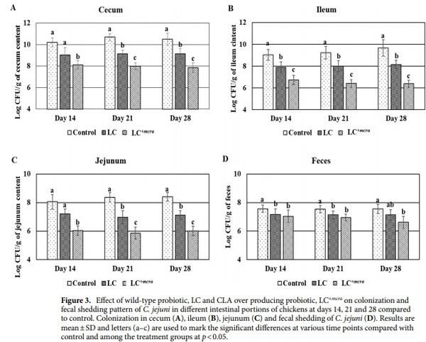Competitive reduction of poultry-borne enteric bacterial pathogens in chicken gut with bioactive Lactobacillus casei - Image 3