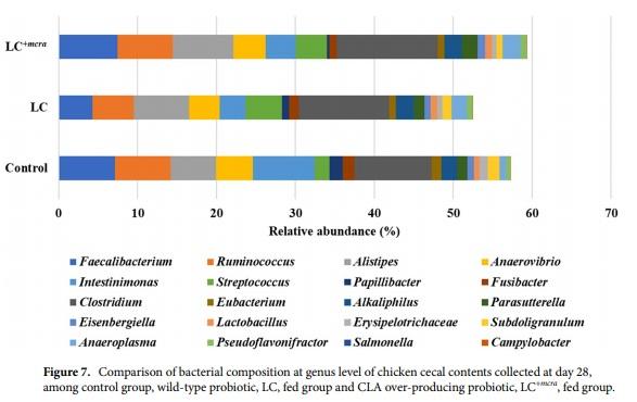 Competitive reduction of poultry-borne enteric bacterial pathogens in chicken gut with bioactive Lactobacillus casei - Image 7