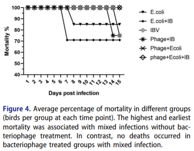 Evaluation of bacteriophage efficacy in reducing the impact of single and mixed infections with Escherichia coli and infectious bronchitis in chickens - Image 4