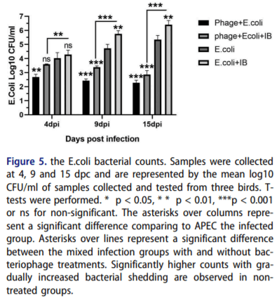 Evaluation of bacteriophage efficacy in reducing the impact of single and mixed infections with Escherichia coli and infectious bronchitis in chickens - Image 5