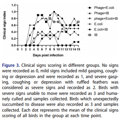 Evaluation of bacteriophage efficacy in reducing the impact of single and mixed infections with Escherichia coli and infectious bronchitis in chickens - Image 3