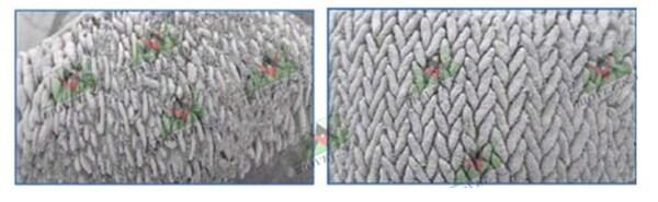 Natural growth promoters: features of choice for poultry and swine - Image 2