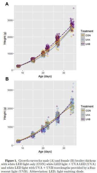 The effect of supplementary ultraviolet wavelengths on the performance of broiler chickens - Image 2