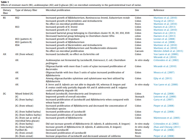 Fermentation characteristics of resistant starch, arabinoxylan, and b-glucan and their effects on the gut microbial ecology of pigs: A review - Image 1