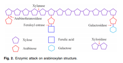 The role of oligosaccharides and polysaccharides of xylan and mannan in gut health of monogastric animals - Image 2